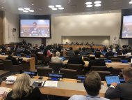 Image / illustration